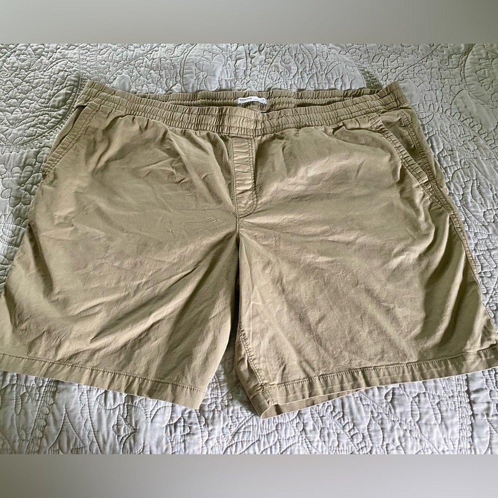 Mens 3XB Shorts